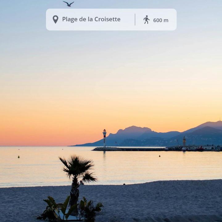 Photo of Others in Cannes City Centre