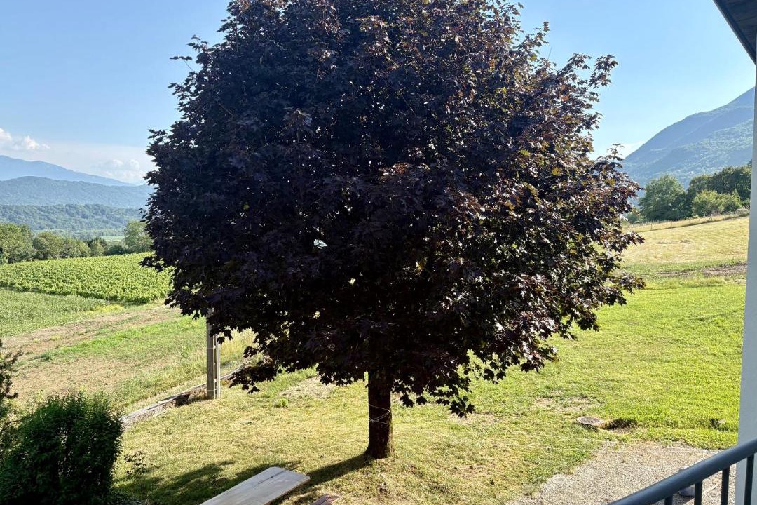 Photo of Others in Saint-Jean-de-la-Porte