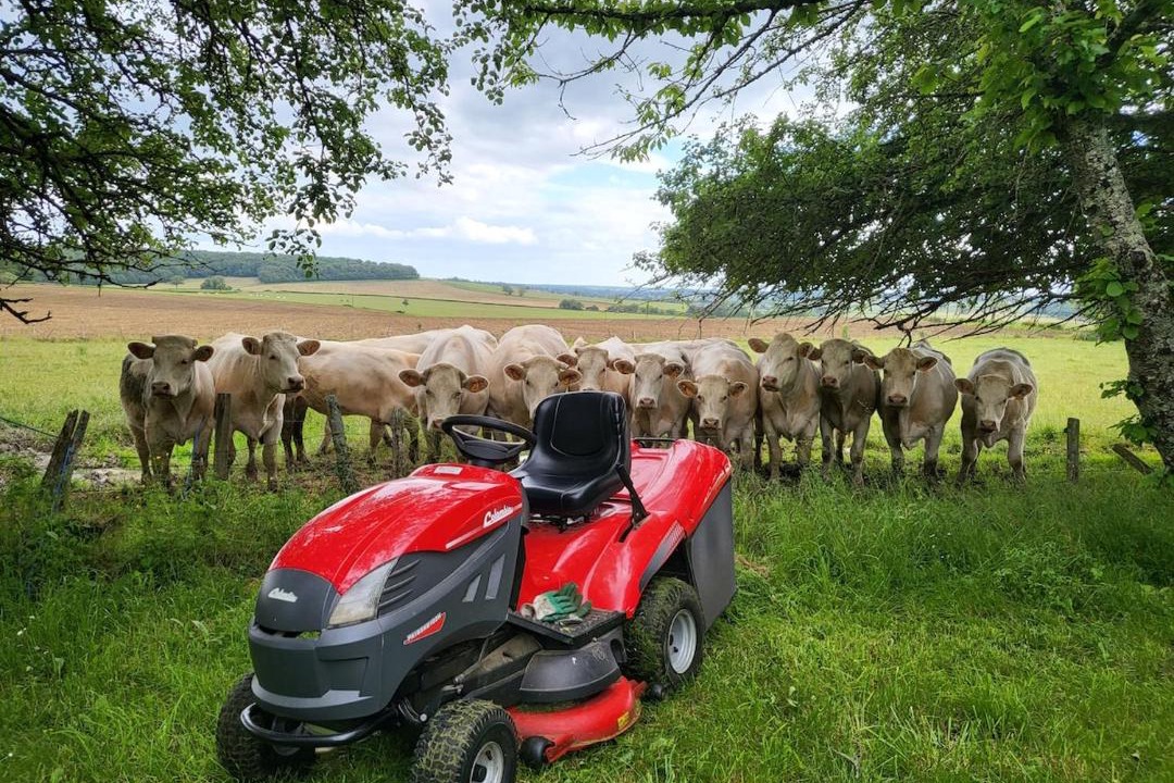 Photo of Others in Montigny-sur-Canne