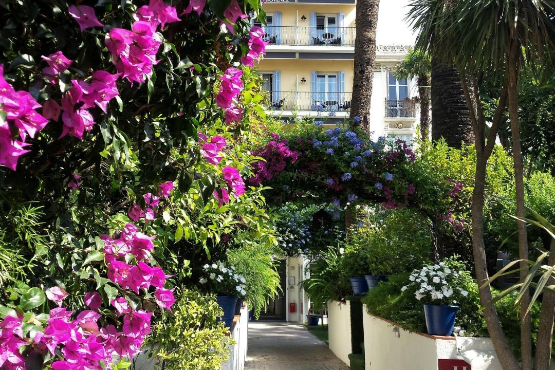 Photo of Others in Cannes City Centre