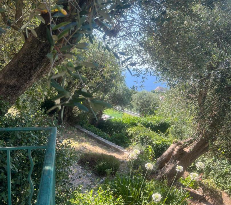 Photo of Others in La Turbie
