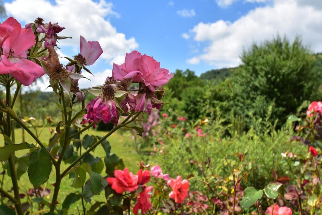 Photo of Others in Crux-la-Ville
