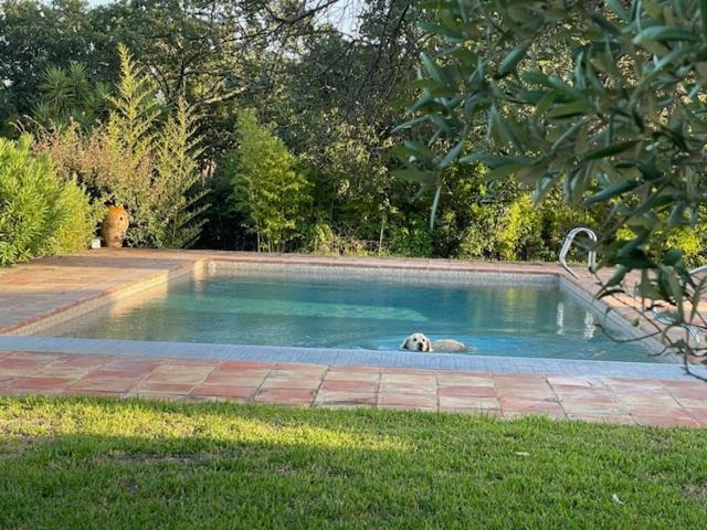 Photo of Others in Ramatuelle