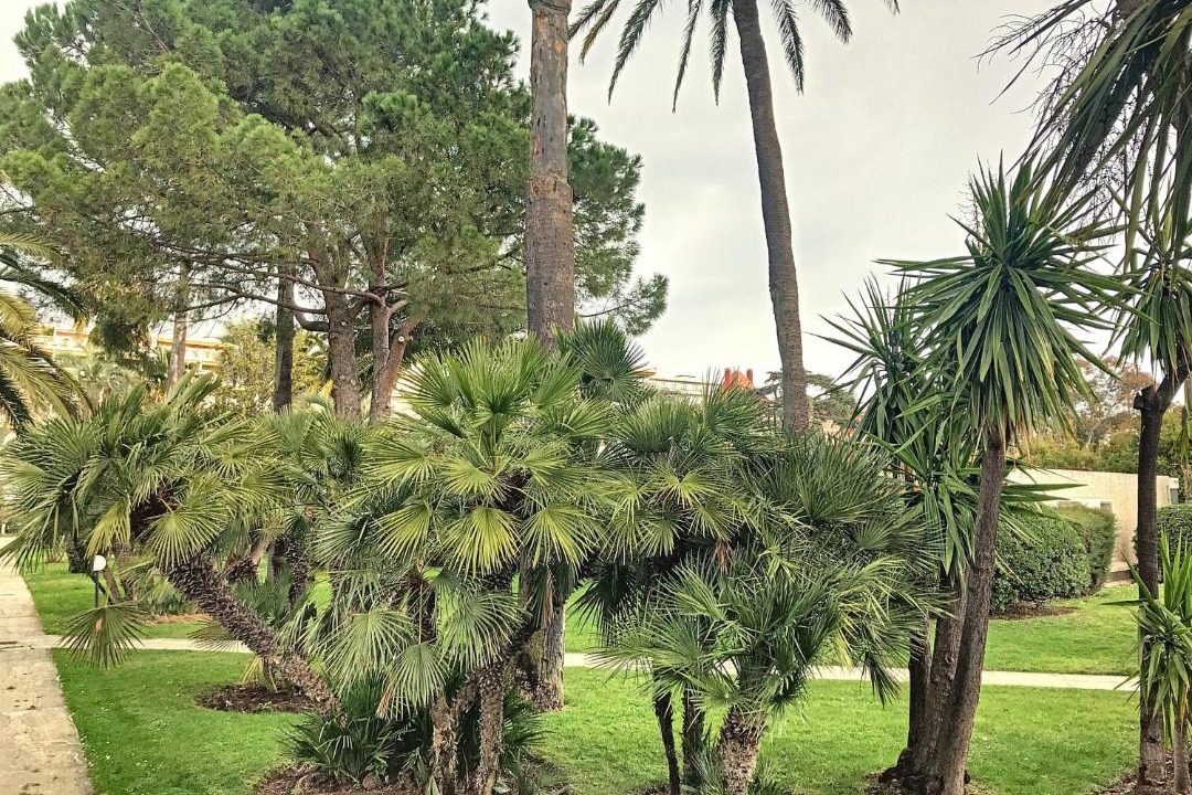 Photo of Others in Cannes