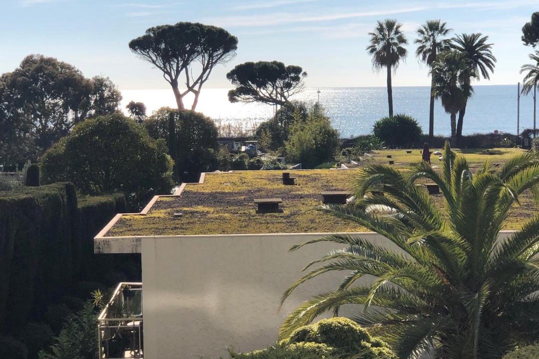 Photo of Others in Cannes