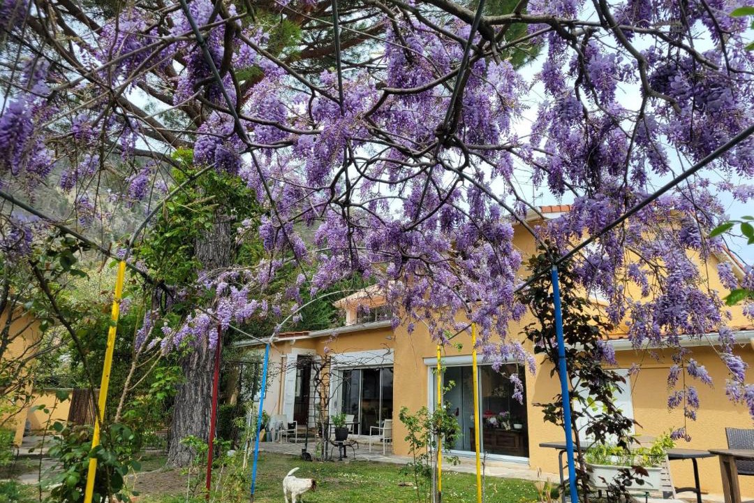 Photo of Others in Digne-les-Bains