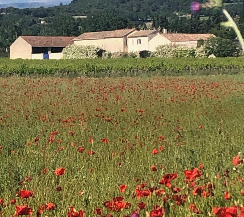 Photo of Others in Visan