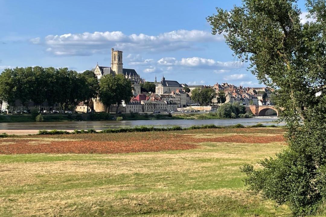 Photo of Others in Nevers