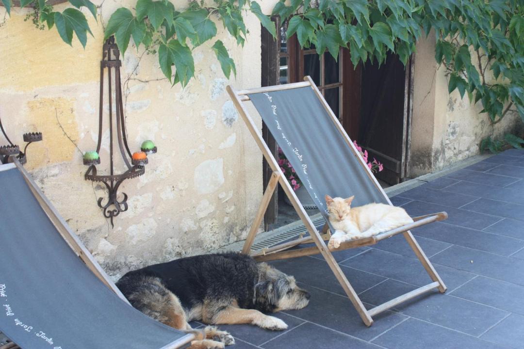 Photo of Others in Faleyras