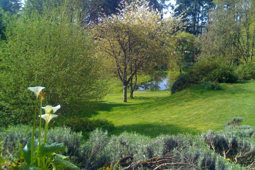 Photo of Others in Saint-Saulge