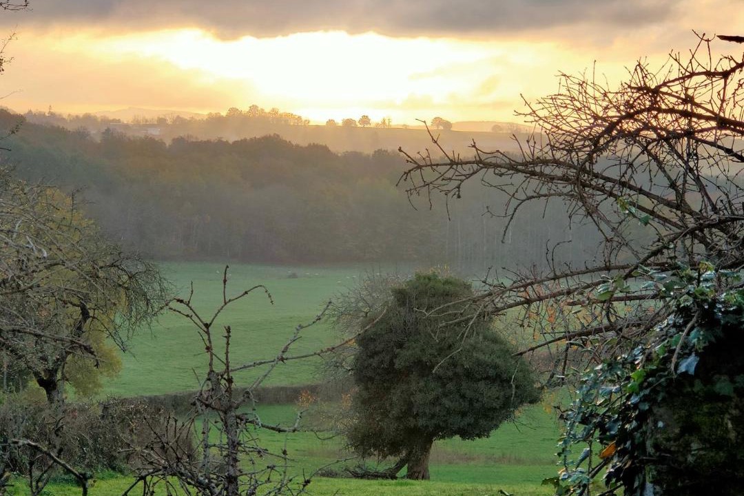 Photo of Others in Cervon