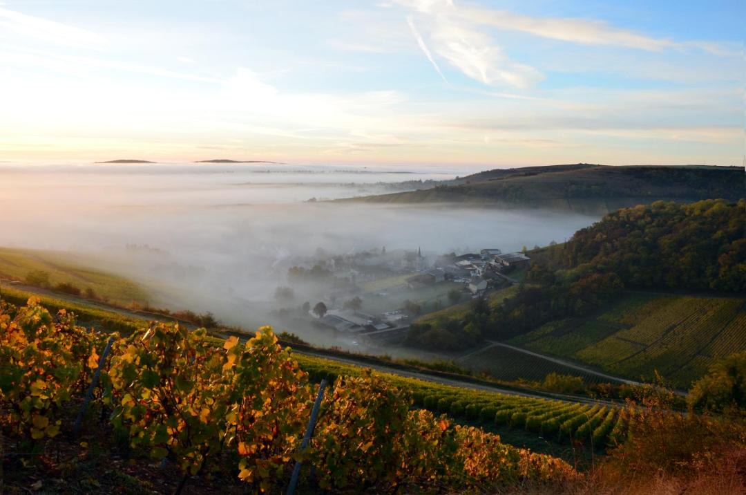 Photo of Others in Sancerre