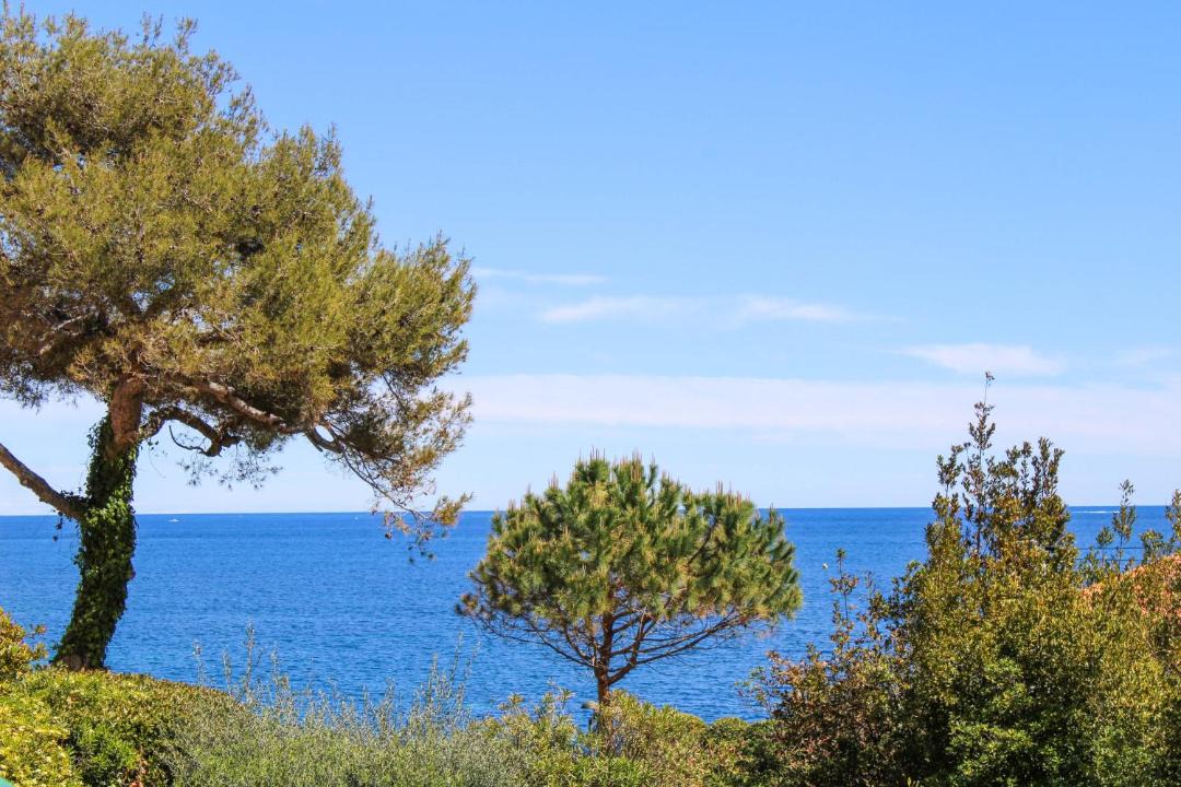 Photo of Others in Saint-Jean-Cap-Ferrat