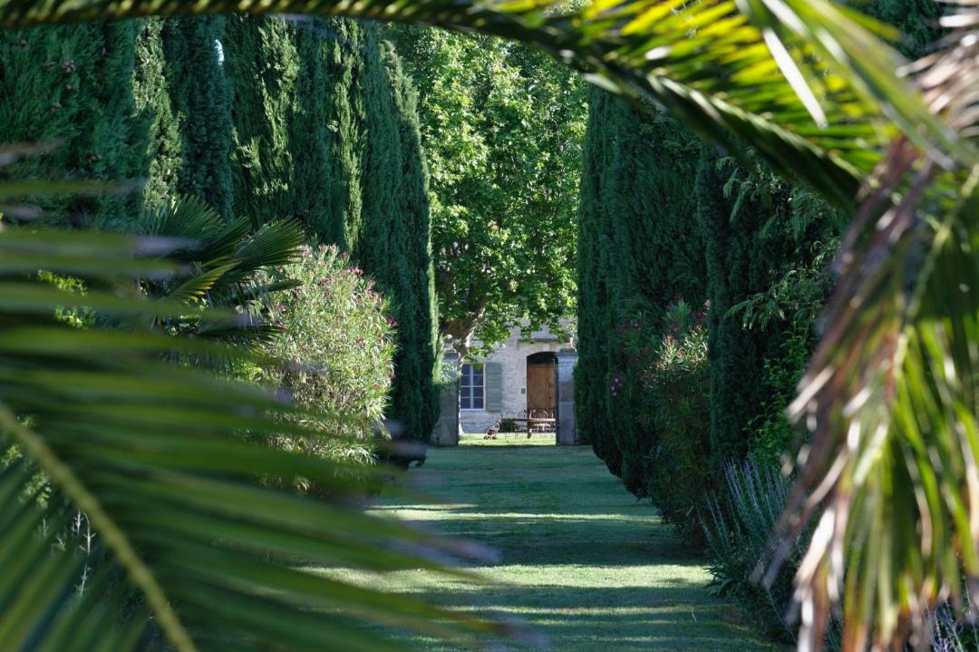 Photo of Others in Beaucaire