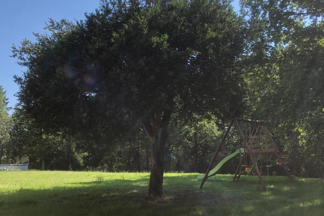 Photo of Others in Mornay-sur-Allier