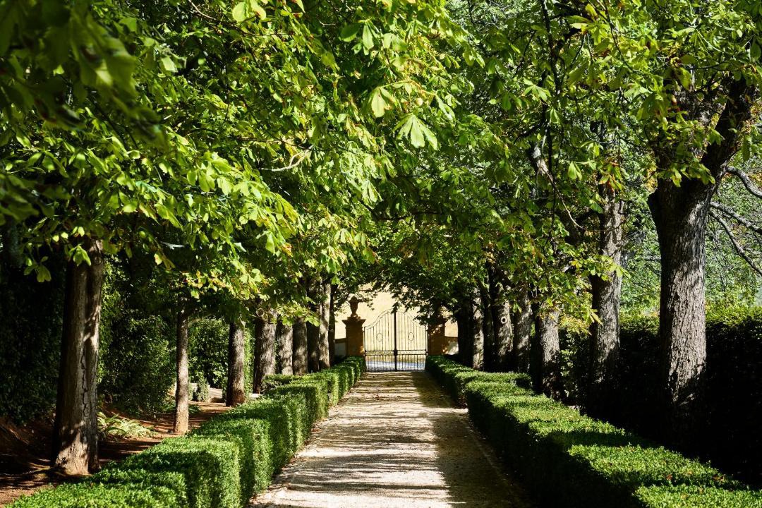 Photo of Others in Aix-en-Provence