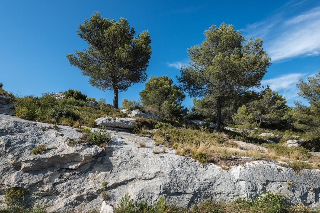 Photo of Others in Saint-Etienne-du-Gres