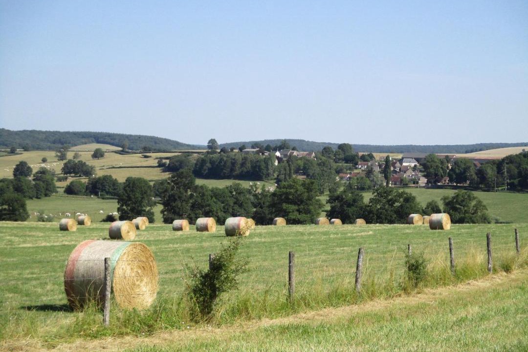 Photo of Others in Lurcy-le-Bourg
