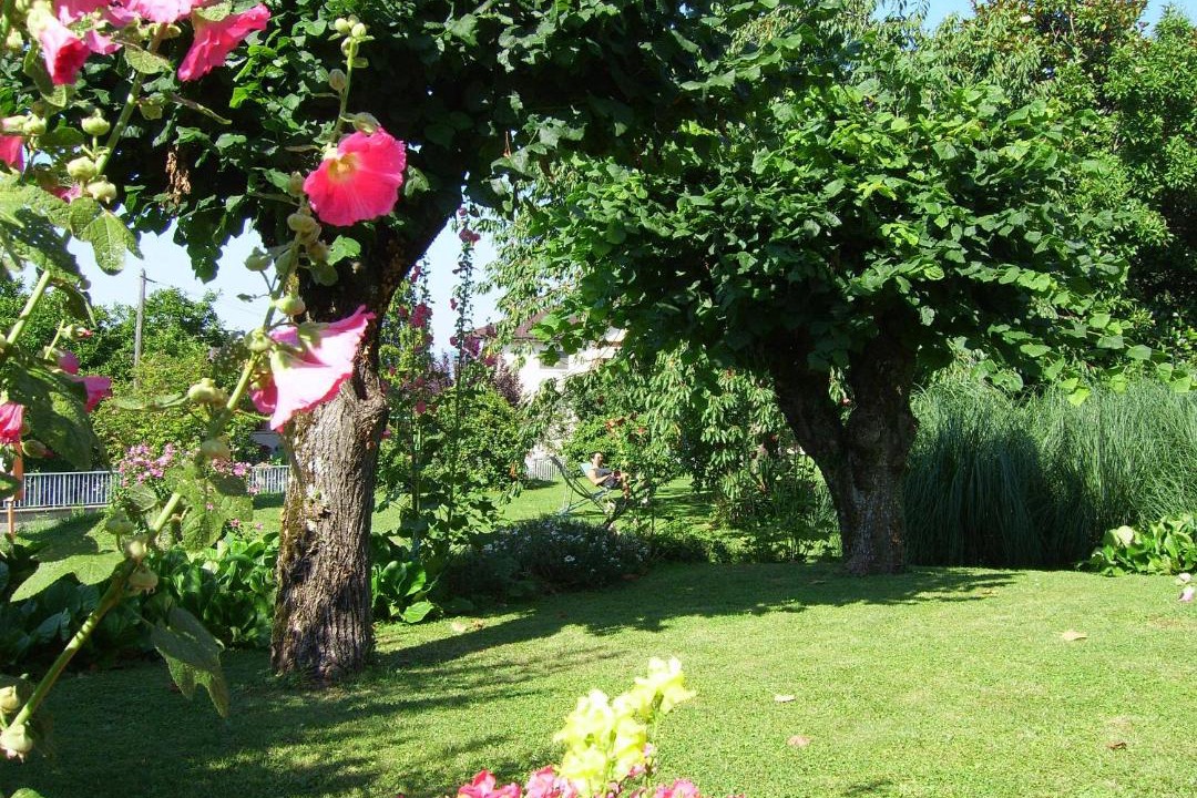 Photo of Others in Evian-les-Bains