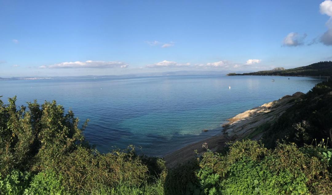 Photo of Others in Hyeres