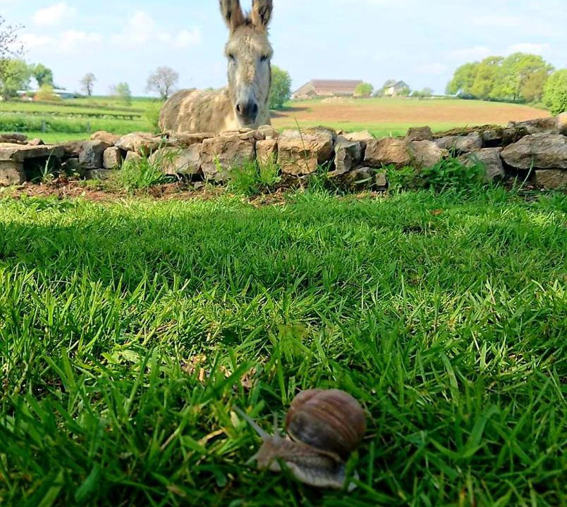 Photo of Others in Bazolles