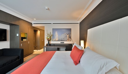 Premium Room, 1 King Bed with Sofa bed