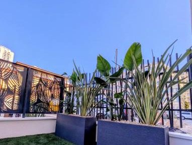 Suite with Terrace