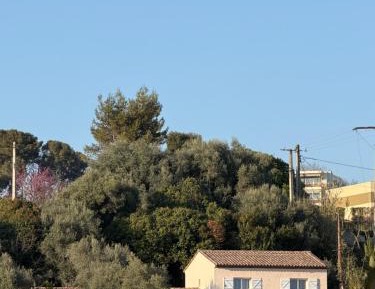 Villa with Garden View