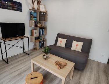 Studio with Sofa Bed