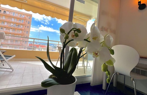 Golfe Juan Condo | Golfe Juan - 4 People - Sea View - Swimming Pool - Garage