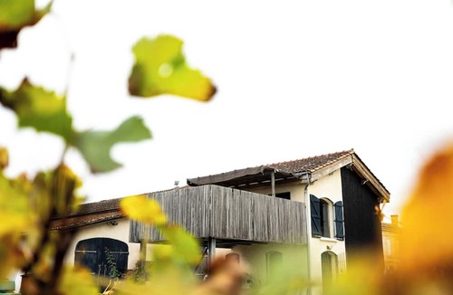Saint-Sulpice-de-Faleyrens Apartment | Gîte de Charme, vue sur Vignoble