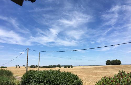 Billy-Chevannes House | L’Albizia