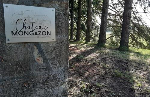 Saint-Franchy Bed & Breakfast | Château de Mongazon