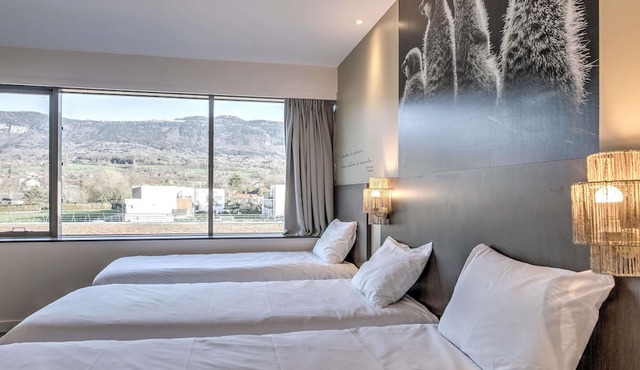 ibis Styles Saint Julien en Genevois Vitam