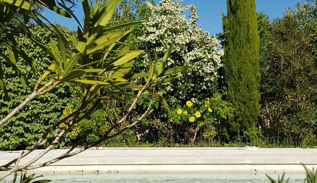 Holiday Home 'Villa Le Mas Des Fleurs' with Private Pool, Private Terrace and Wi-Fi