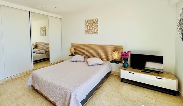 Studio with balcony and parking, breathtaking view of Cap-Ferrat and the sea!