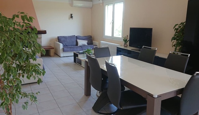 Quiet villa with swimming pool and wooded garden, sleeps 10 to 12.