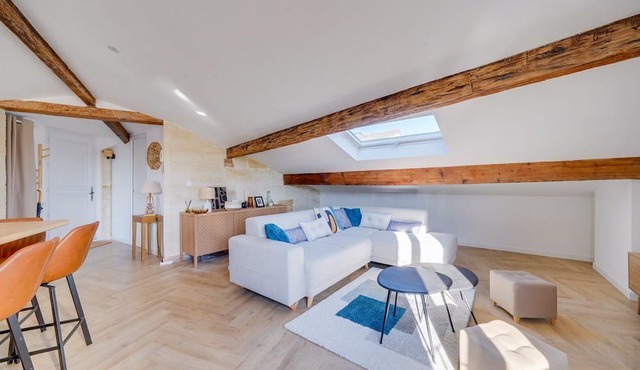 Nice renovated apartment Bordeaux